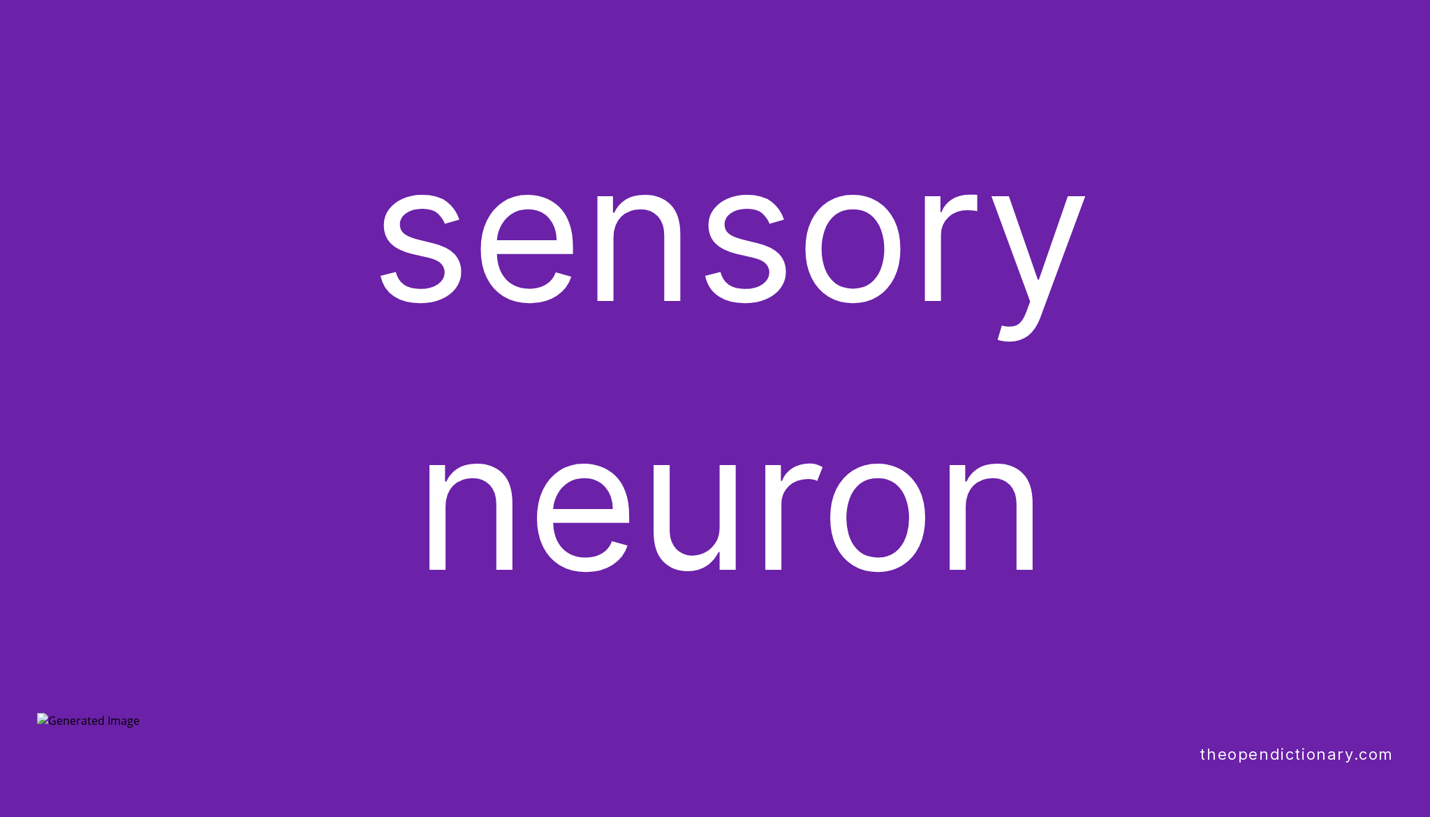 Sensory Neuron Meaning Of Sensory Neuron Definition Of Sensory 